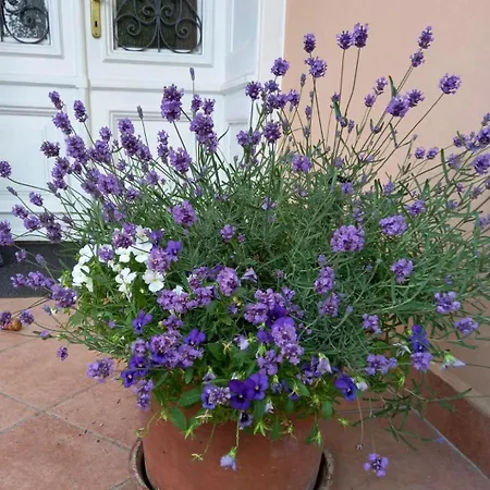 Homestay Milada Portoroz